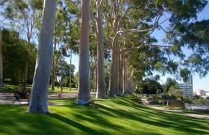 Kings Park