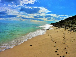 TriggBeachPerthAustralia.jpg_(2)